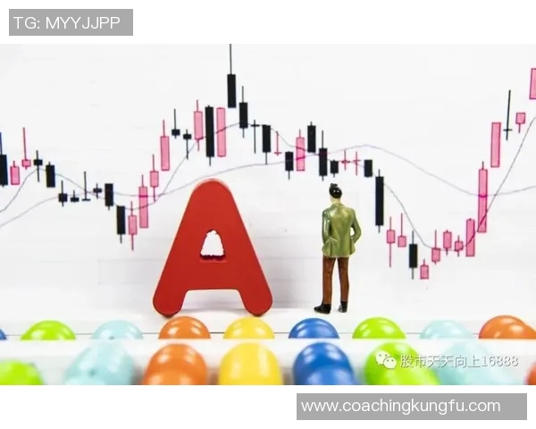 上海滑板队技术对比深度解析与未来发展趋势展望